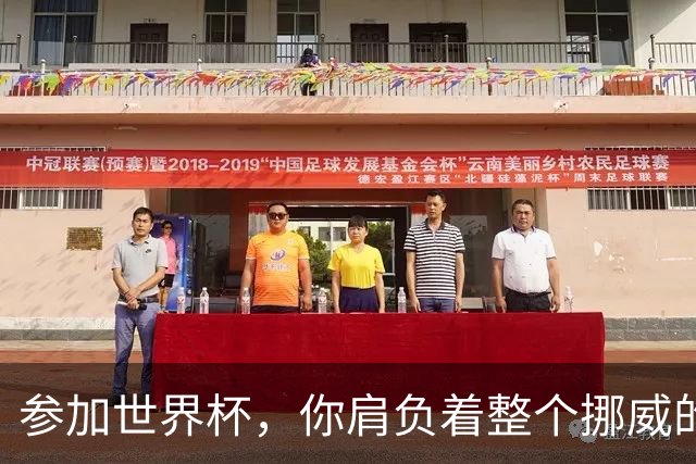参加世界杯，你肩负着整个挪威的期望！哈兰德：我喜欢这样
