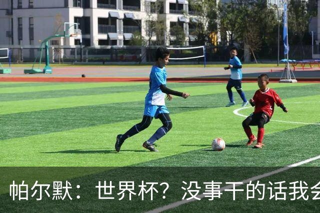 帕尔默：世界杯？没事干的话我会看看，我希望他们能走到最后