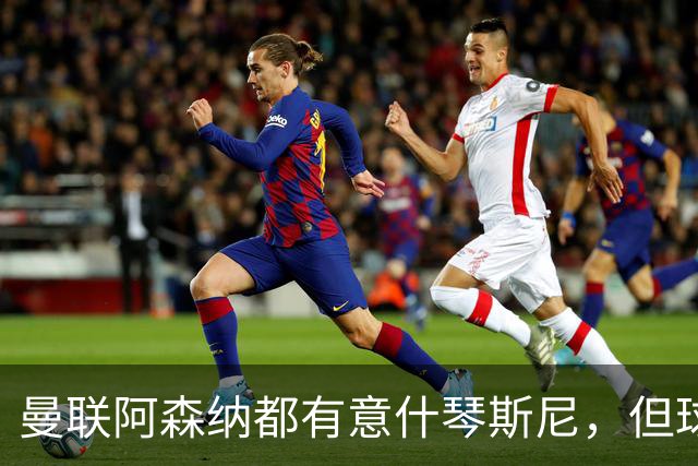 曼联阿森纳都有意什琴斯尼，但球员最终决定退役